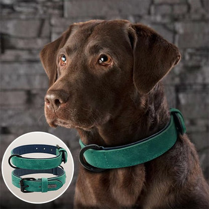 Collier chien | Didog™ - Joyeux chien