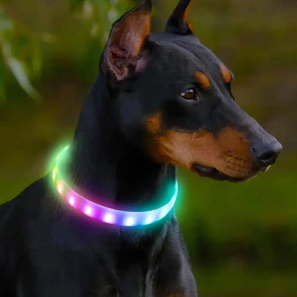 Collier Chien Lumineux | SafeGlow™ - Joyeux chien