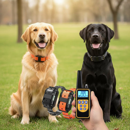 Collier de dressage pour chien | Trainix™ - Joyeux chien