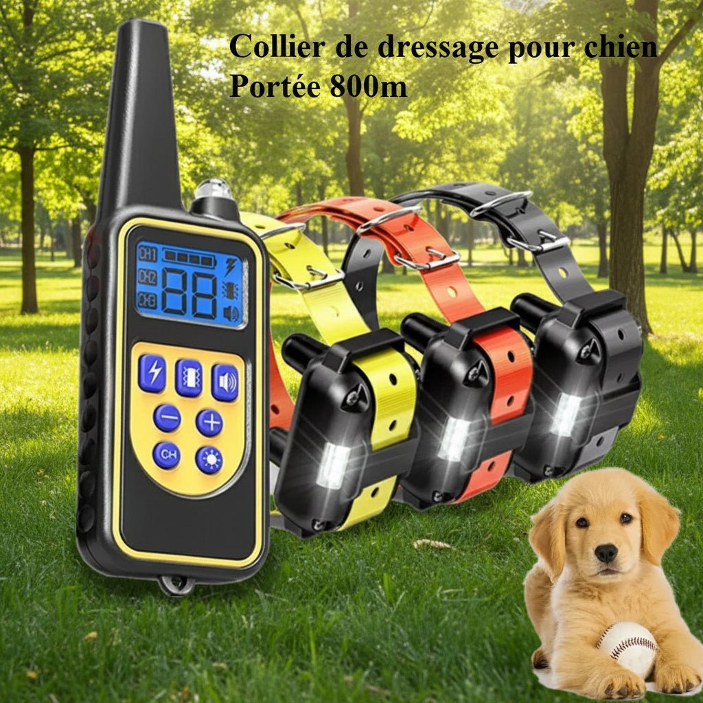 Collier de dressage pour chien | Trainix™ - Joyeux chien