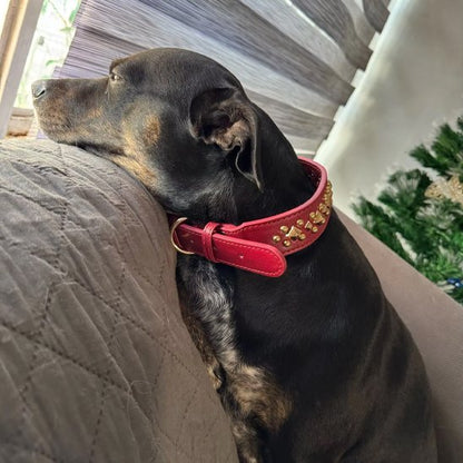 Collier en cuir pour chien | PawTrend™ - Joyeux chien