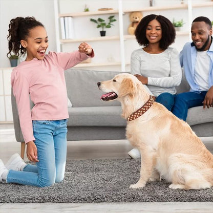 Collier en cuir pour chien | PawTrend™ - Joyeux chien