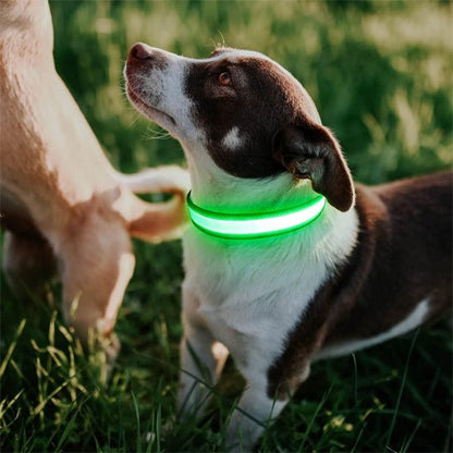 Collier lumineux chien | LEDBrightPup™ - Joyeux chien