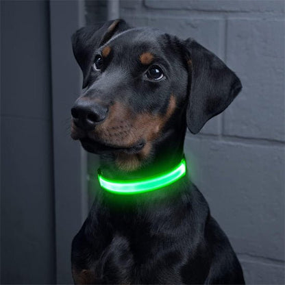 Collier lumineux chien | LEDBrightPup™ - Joyeux chien