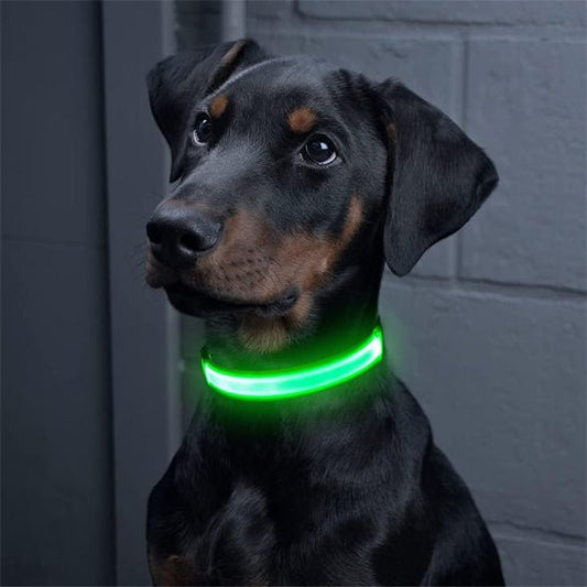 Collier lumineux chien | LEDBrightPup™ - Joyeux chien