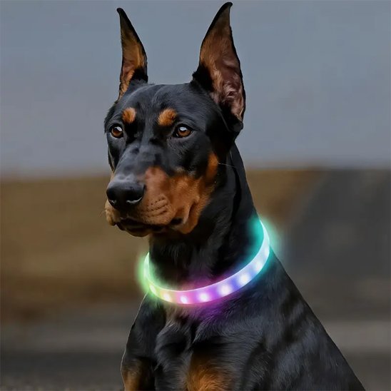 Collier lumineux pour chien | FluoFidèle™ - Joyeux chien