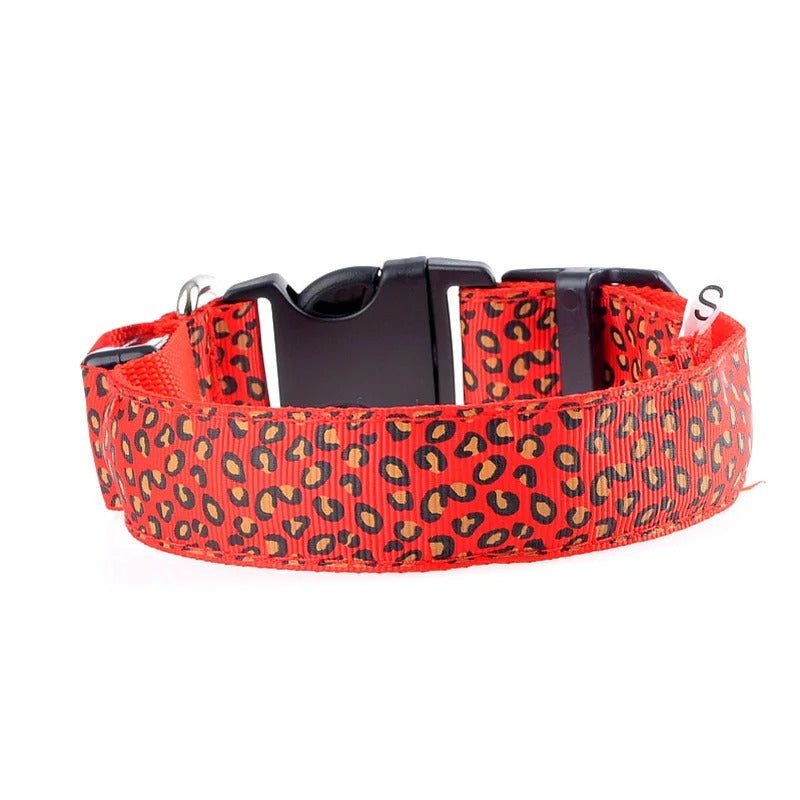 Collier lumineux pour Chien | NoctiDog - Joyeux chien