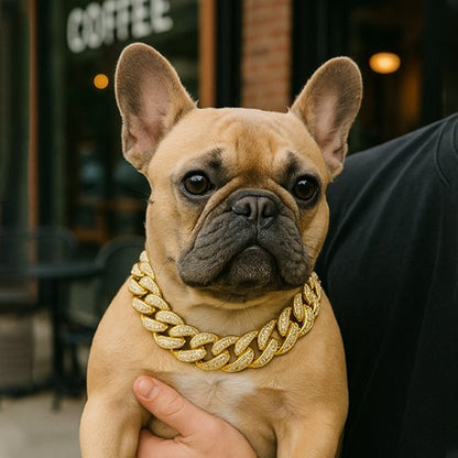 Collier pour chien | CanisGold™ - Joyeux chien