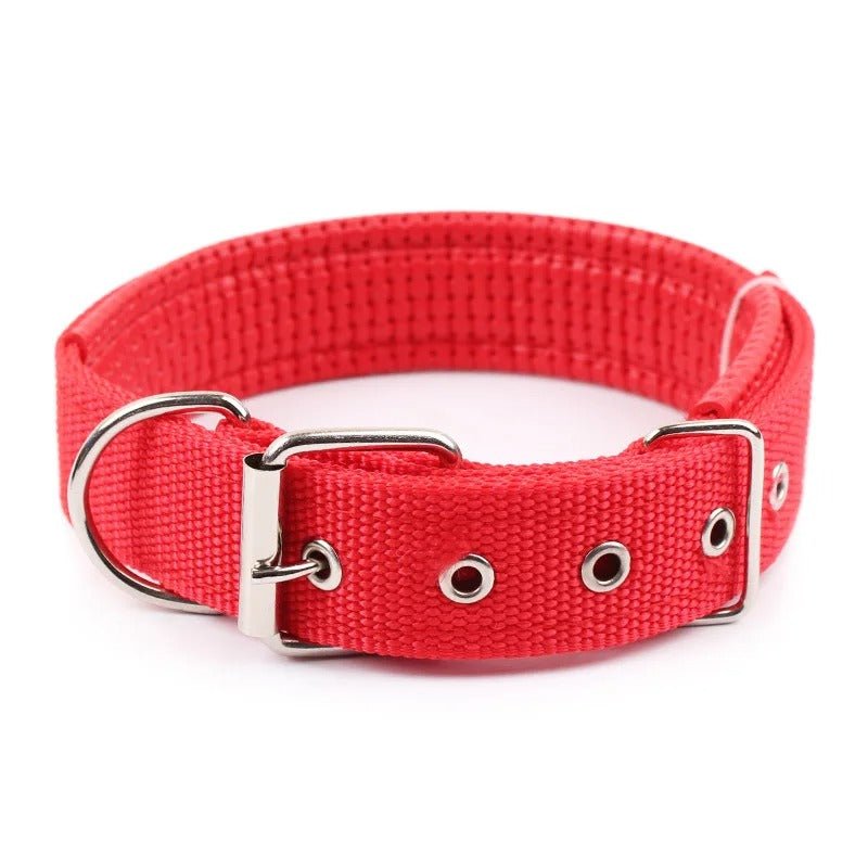 Collier pour chien | CollarPaw - Joyeux chien