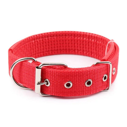 Collier pour chien | CollarPaw - Joyeux chien