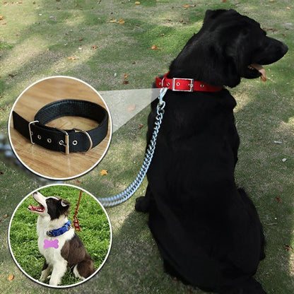 Collier pour chien | CollarPaw - Joyeux chien