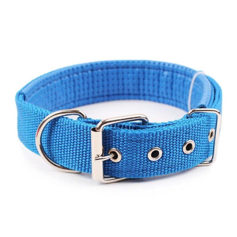 Collier pour chien | CollarPaw - Joyeux chien