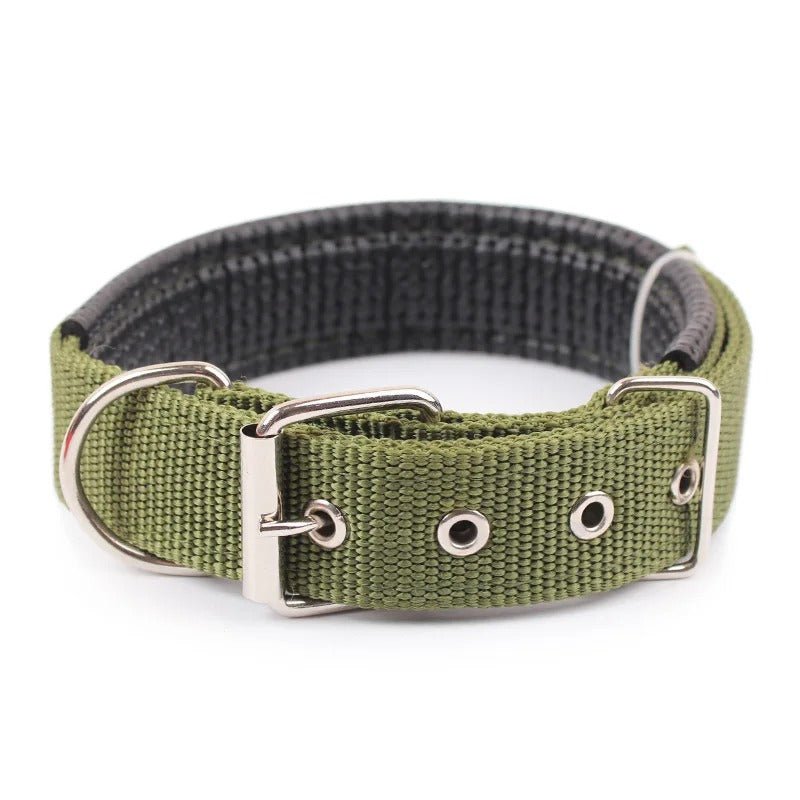 Collier pour chien | CollarPaw - Joyeux chien