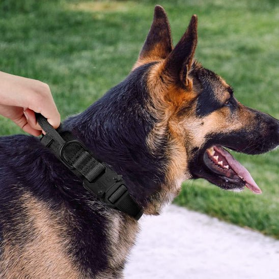 Collier pour chien - Type militaire - Joyeux chien