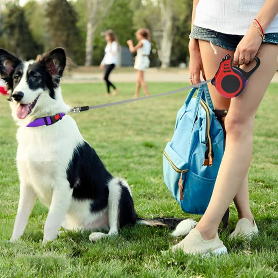 controle avec laisse pour chien parc