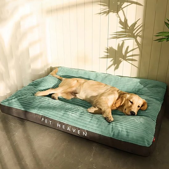 Coussin chien | Dog - Heaven™ - Joyeux chien
