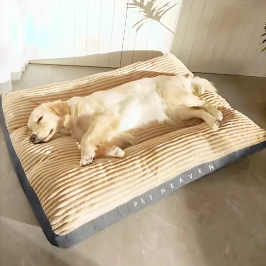 Coussin chien | Dog - Heaven™ - Joyeux chien
