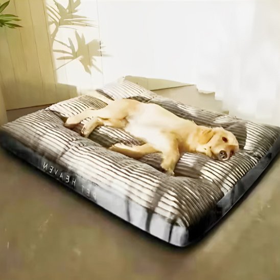 Coussin chien | Dog - Heaven™ - Joyeux chien
