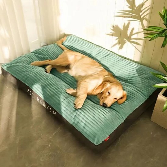 Coussin chien | Dog - Heaven™ - Joyeux chien