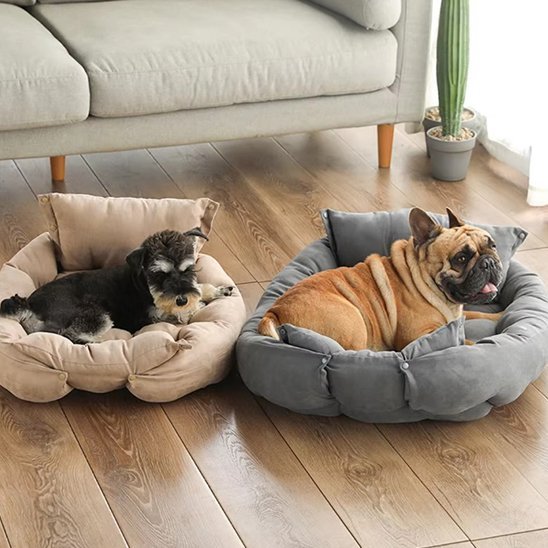Coussin chien | Dogina™ : Convertible 3 - en - 1 - Joyeux chien
