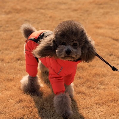 Doudoune Chaude et Imperméable pour Chien - Joyeux chien