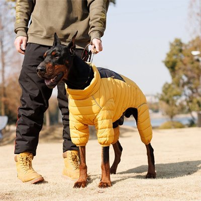Doudoune Chaude et Imperméable pour Chien - Joyeux chien