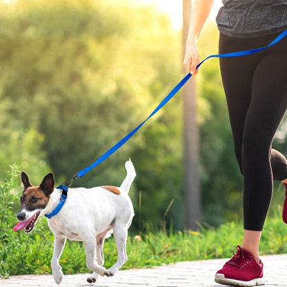 femme jogging avec chien avec longe pour chien