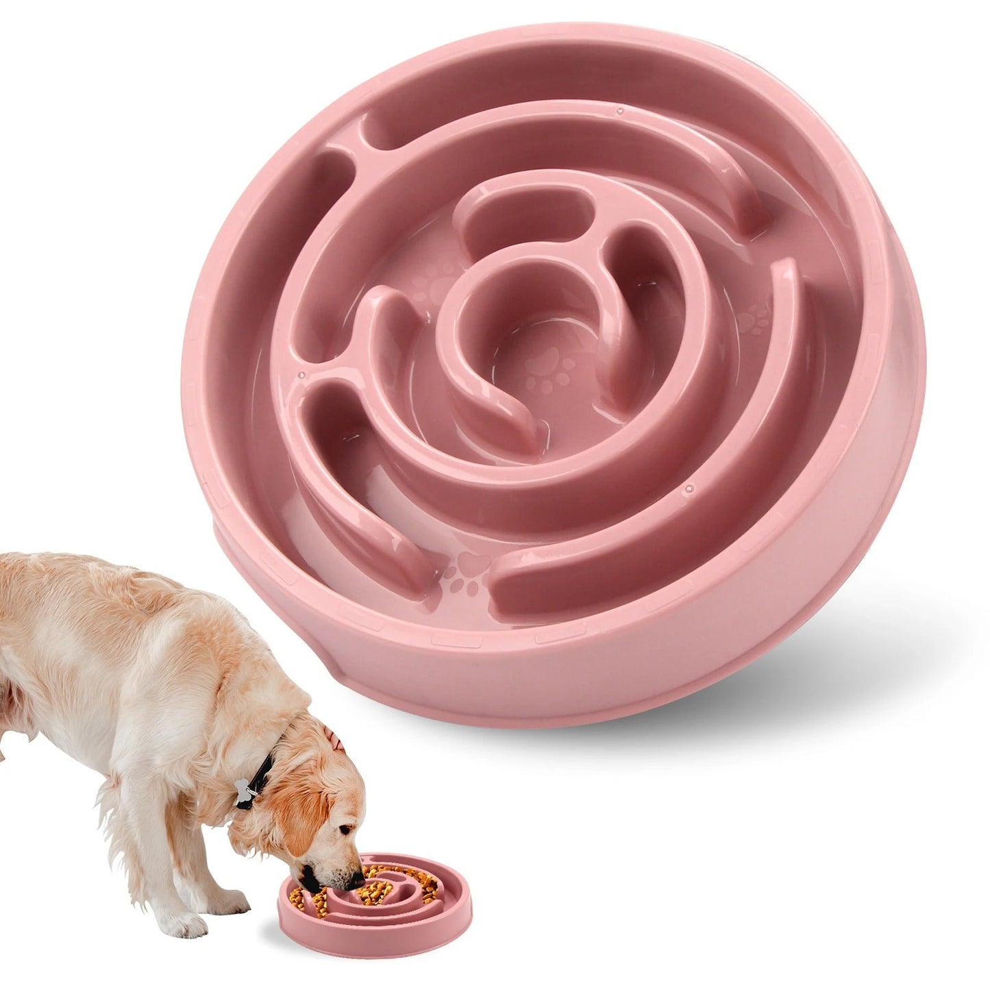 Gamelle anti glouton chien | Croc & Roll™ - Joyeux chien