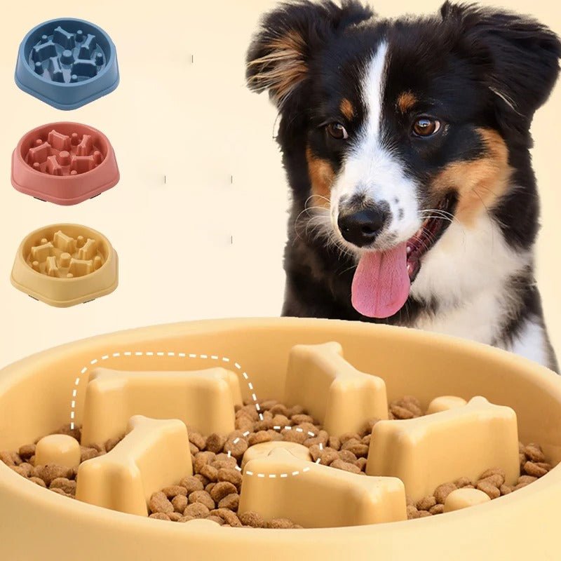 Gamelle anti glouton chien | SlowFood™ - Joyeux chien