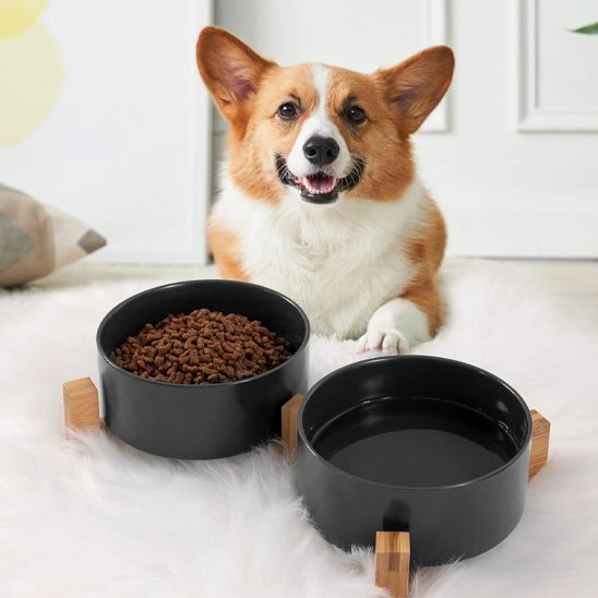 Gamelle chien | DuoTreats™ - Joyeux chien