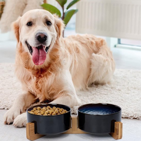 Gamelle chien | DuoTreats™ - Joyeux chien