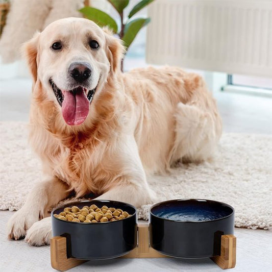 Gamelle chien | DuoTreats™ - Joyeux chien