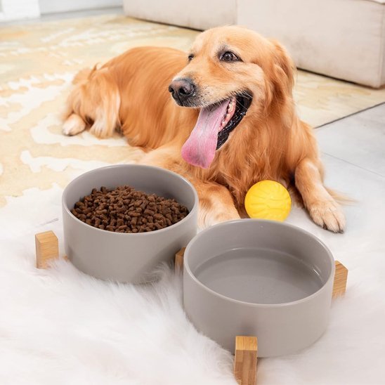 Gamelle chien | DuoTreats™ - Joyeux chien