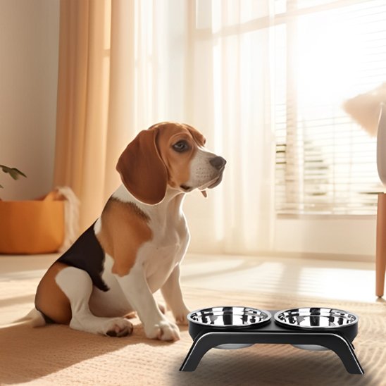 Gamelle chien | HappyMeal™ - Joyeux chien