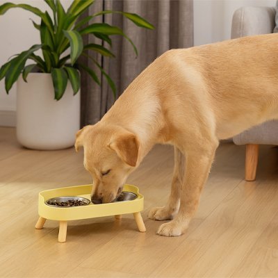 Gamelle pour chien | Pace Bowl™ - Joyeux chien