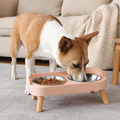 Gamelle pour chien | Pace Bowl™ - Joyeux chien