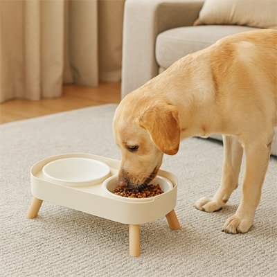 Gamelle pour chien | Pace Bowl™ - Joyeux chien