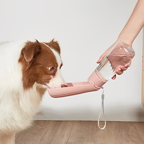 Gourde chien | CoolDog™ - Joyeux chien