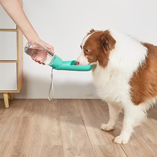Gourde chien | CoolDog™ - Joyeux chien