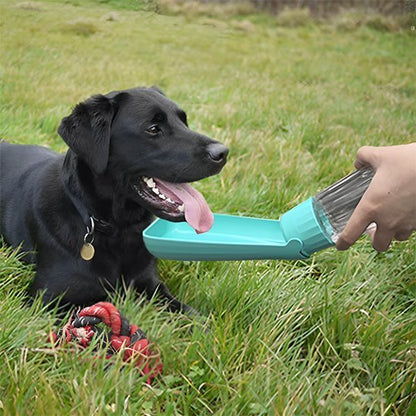 Gourde chien | CoolDog™ - Joyeux chien