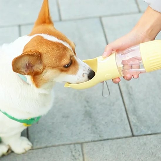 Gourde pour chien | AquaFresh™ - Joyeux chien
