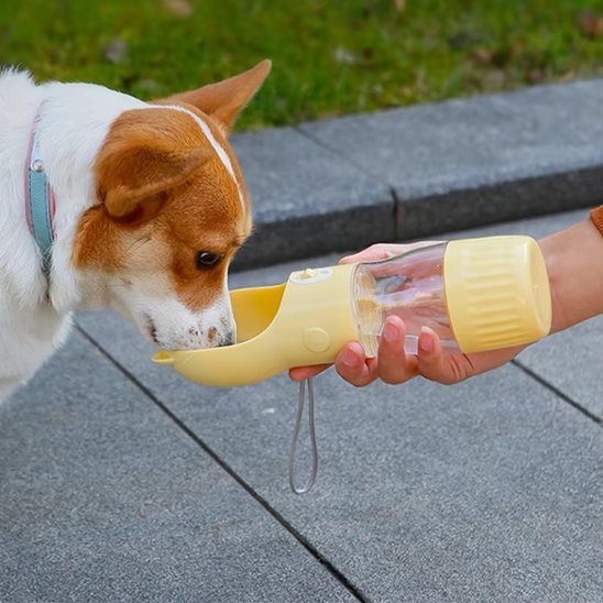 Gourde pour chien | AquaFresh™ - Joyeux chien