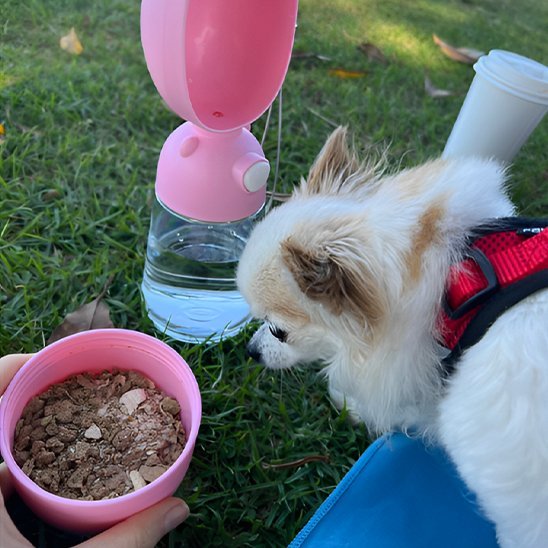 Gourde pour chien | FreshPaw™ - Joyeux chien