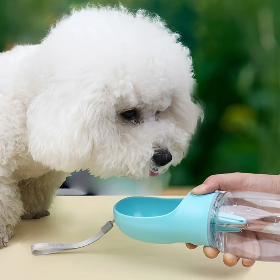 Gourde pour chien | PurePaw™ - Joyeux chien