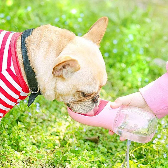 Gourde pour chien | PurePaw™ - Joyeux chien