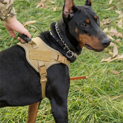Harnais chien anti - traction | StopTrax™ - Joyeux chien