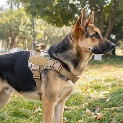 Harnais chien anti - traction | StopTrax™ - Joyeux chien