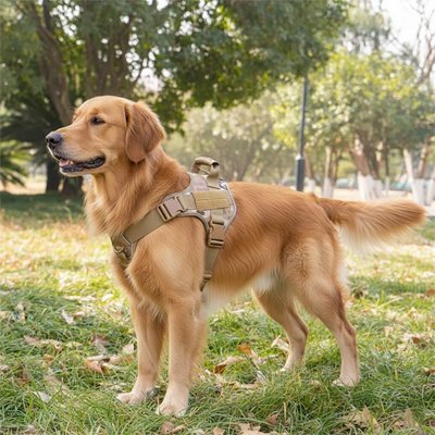 Harnais chien anti - traction | StopTrax™ - Joyeux chien
