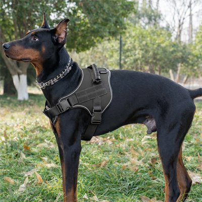 Harnais chien anti - traction | StopTrax™ - Joyeux chien