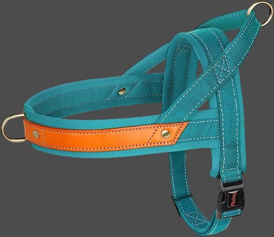 Harnais chien anti traction | StopTrax™ - Joyeux chien